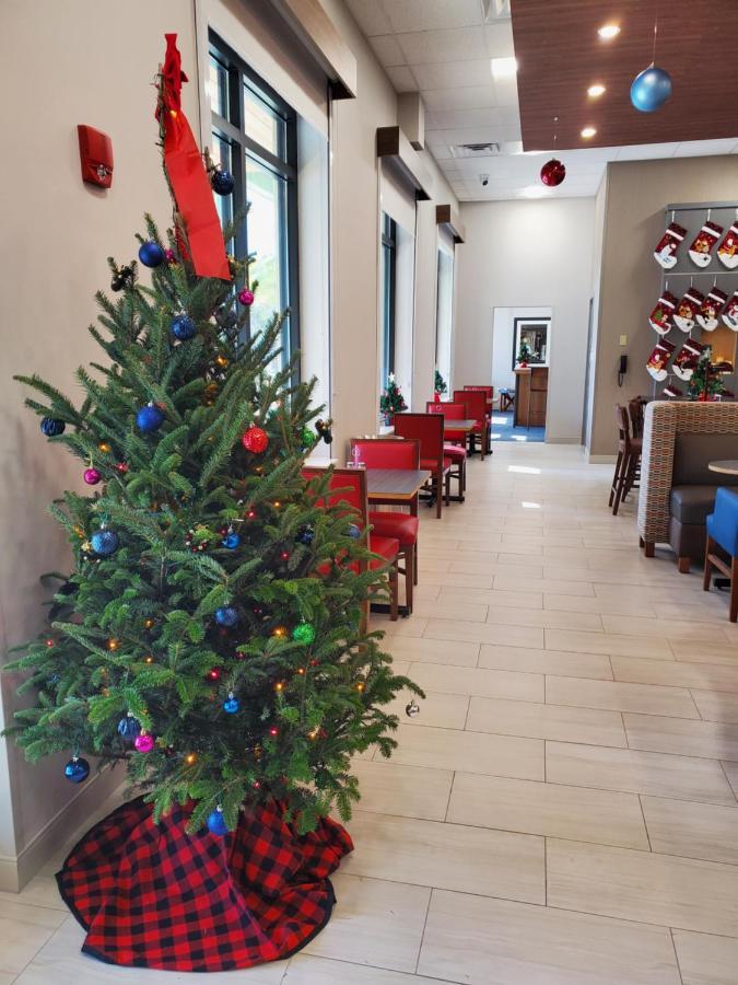 Holiday Inn Express St. Augustine - Vilano Beach By Ihg Exterior photo